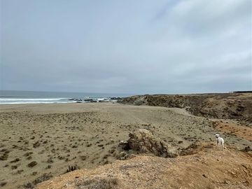 Parcela en Venta en Huentalauquen