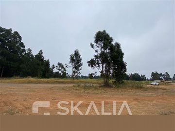 Industrial en Venta en camino a Coronel