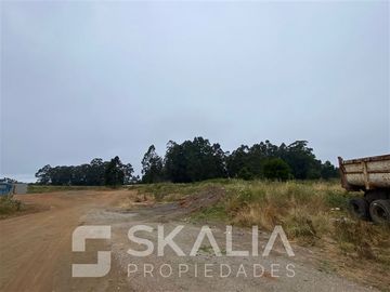 Terreno Construccion en Venta en camino a Coronel