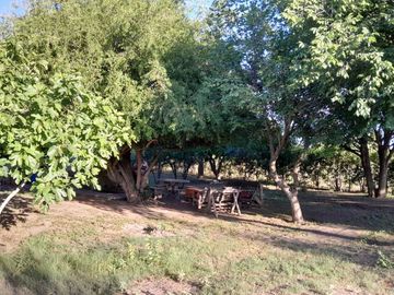 SE VENDE CASA CON TERRENO DE 6has