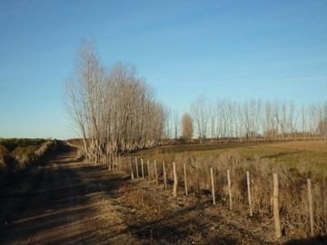 Finca de 105 has en Cañada Seca - Nogales y pasturas