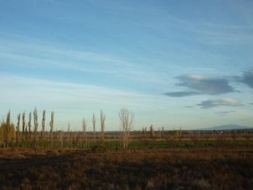 Finca de 105 has en Cañada Seca - Nogales y pasturas