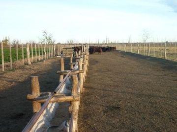Finca de 105 has en Cañada Seca - Nogales y pasturas