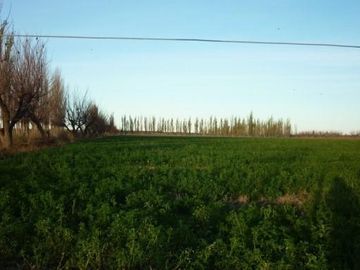 Finca de 105 has en Cañada Seca - Nogales y pasturas