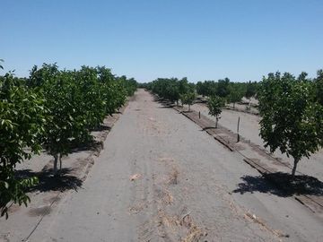 Finca de 105 has en Cañada Seca - Nogales y pasturas