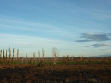 Finca de 105 has en Cañada Seca - Nogales y pasturas