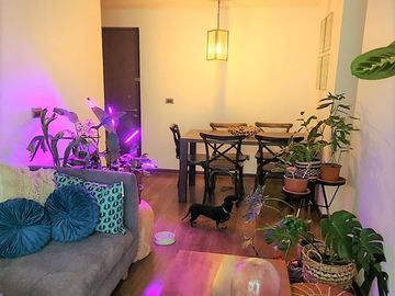 Departamento en Venta en Diagonal Santa Irene