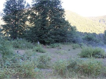 VENTA DE PARCELA EN PUCON !!