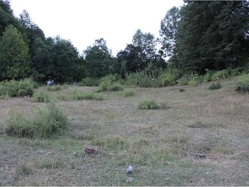 VENTA DE PARCELA EN PUCON !!