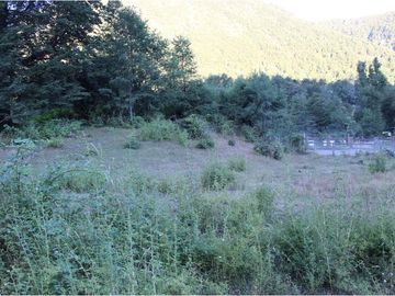 VENTA DE PARCELA EN PUCON !!