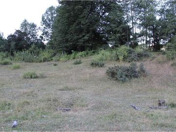 VENTA DE PARCELA EN PUCON !!