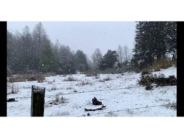 VENTA DE PARCELA EN PUCON !!