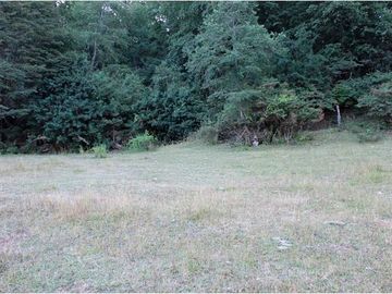 Tu Oasis en Pucón: Parcela en Venta Frente al Lago
