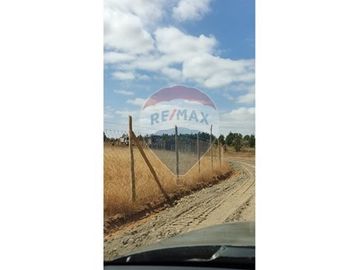 Parcela Tranquila: 5000m² en Cauquenes