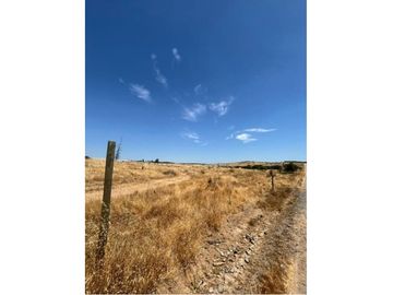 Parcela Tranquila: 5000m² en Cauquenes