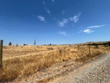 Parcela Tranquila: 5000m² en Cauquenes