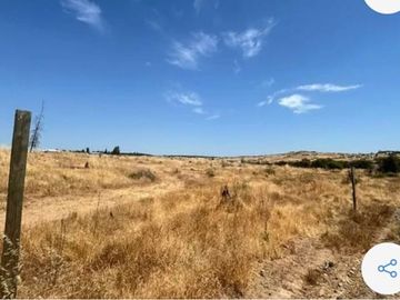 Parcela Tranquila: 5000m² en Cauquenes
