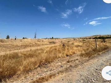 Parcela Tranquila: 5000m² en Cauquenes
