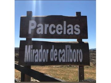 Parcela Tranquila: 5000m² en Cauquenes