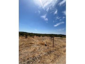 Parcela Tranquila: 5000m² en Cauquenes