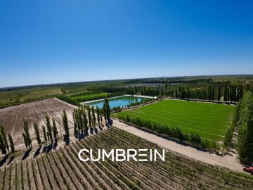 Extraordinaria finca de 83 Ha. de viñedos, durazno y alfalfa