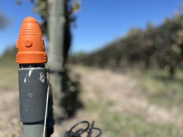 Extraordinaria finca de 83 Ha. de viñedos, durazno y alfalfa