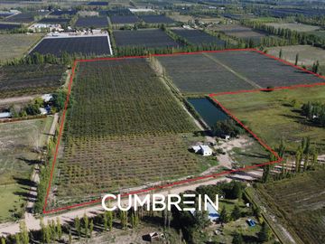 Finca de 11 Has. en Cuadro Benegas sobre calle Esmeralda