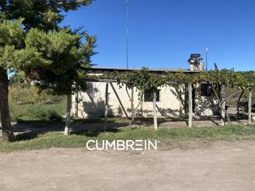 Finca de 11 Has. en Cuadro Benegas sobre calle Esmeralda