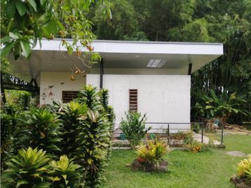 Se Vende Finca entre Quimbaya y Montenegro