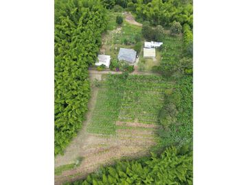 Se Vende Finca entre Quimbaya y Montenegro