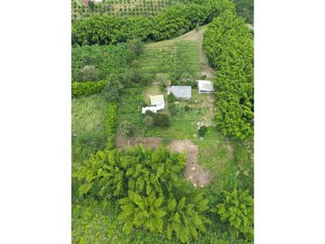 Se Vende Finca entre Quimbaya y Montenegro