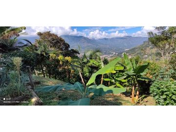 VENTA FINCA  VEREDA SALINAS DEL CONVENTO - COPACABANA ANTIOQUIA