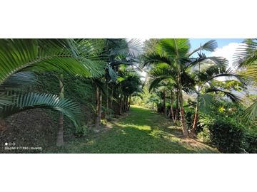 VENTA FINCA  VEREDA SALINAS DEL CONVENTO - COPACABANA ANTIOQUIA