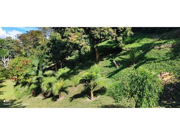 VENTA FINCA  VEREDA SALINAS DEL CONVENTO - COPACABANA ANTIOQUIA