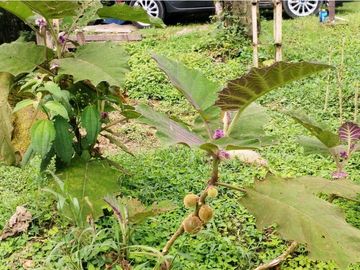 Se Vende Casa Campestre en Condominio Zona Rural Filandia