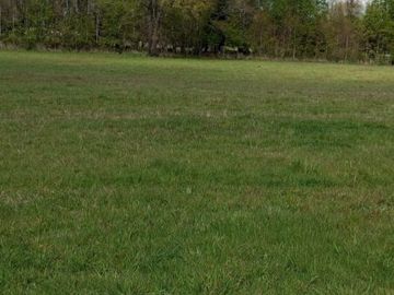 Se vende parcela de 10.000m2 Los Tallos, agua y luz, rol propio