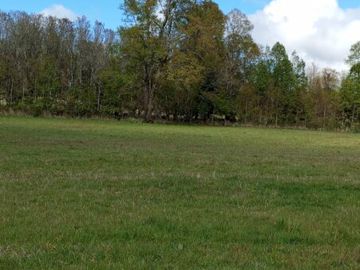 Se vende parcela de 10.000m2 Los Tallos, agua y luz, rol propio