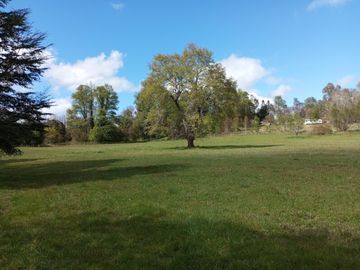 Se vende parcela de 10.000m2 Los Tallos, agua y luz, rol propio