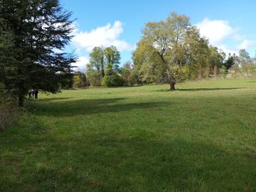 Se vende parcela de 10.000m2 Los Tallos, agua y luz, rol propio