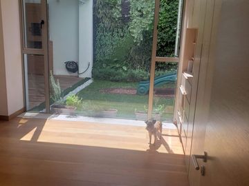 Polanco Garden House con jardin y terraza