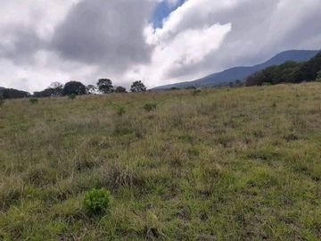 TERRENO RUSTICO EN VENTA