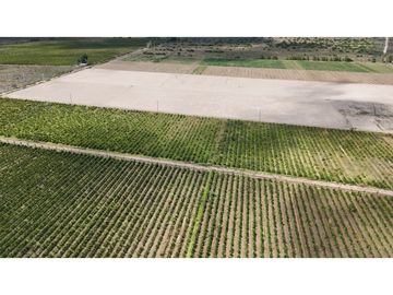 VENTA DE FINCA 40 HAS CALLE LA FLORIDA, EN EL MIRADOR - RIVADAVIA,MZA