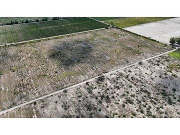 VENTA DE FINCA 40 HAS CALLE LA FLORIDA, EN EL MIRADOR - RIVADAVIA,MZA