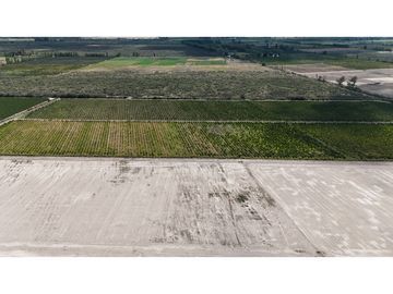 VENTA DE FINCA 40 HAS CALLE LA FLORIDA, EN EL MIRADOR - RIVADAVIA,MZA