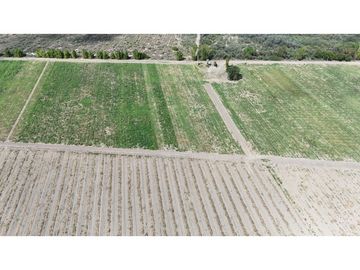 VENTA DE FINCA 40 HAS CALLE LA FLORIDA, EN EL MIRADOR - RIVADAVIA,MZA