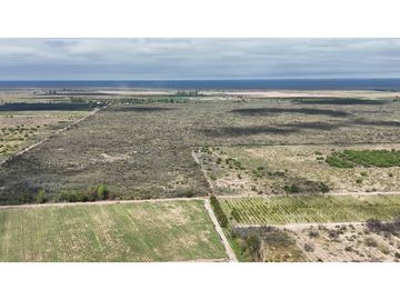 VENTA DE FINCA 40 HAS CALLE LA FLORIDA, EN EL MIRADOR - RIVADAVIA,MZA