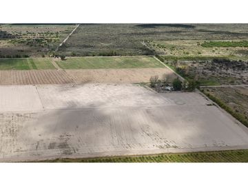 VENTA DE FINCA 40 HAS CALLE LA FLORIDA, EN EL MIRADOR - RIVADAVIA,MZA