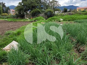 TERRENO EN VENTA SECTOR SAN JOAQUIN
