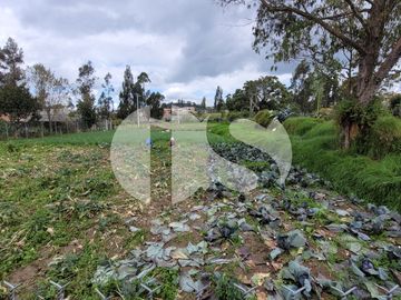 TERRENO EN VENTA SECTOR SAN JOAQUIN