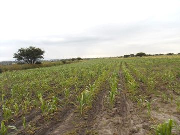 RANCHO CON CASA Y CABALLERIZAS EN VENTA, HUICHAPAN HIDALGO